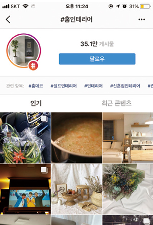 인스타그램에 ‘홈인테리어’라는 해시태그(#)를 검색해보면 약 35만개의 게시물이 나온다. 소셜미디어에 자신의 인테리어를 공개하는 이들이 늘고있다. 사진 인스타그램 캡처