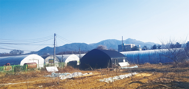 지하철 4호선 선바위역 인근 신도시 개발 예정지는 비닐하우스 등이 밀집해 있다. 사진 장시형 부장대우