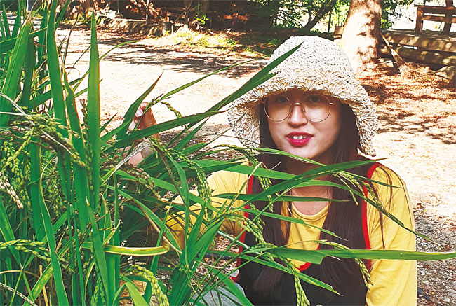 서다혜 소소리농장 대표가 어린이 교육용으로 심은 벼 옆에서포즈를 취하고 있다. 사진 소소리농장