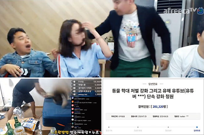 아프리카TV BJ 철구가 BJ 강은비의 머리채를 잡는 모습. 좌측 아래는 유튜버 승냥이의 방송. 문제의 방송 이후 청와대 국민청원 게시판에 유해 유튜브 단속을 강화해달라는 청원이 올라와 있다. 사진 유튜브·국민청원·아프리카TV 캡처