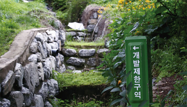 7월 20일 서울 서초구 내곡동 일대 그린벨트. 사진 연합뉴스