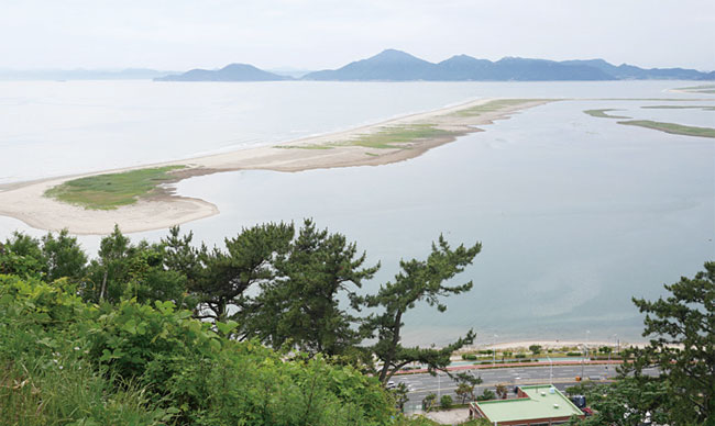 아미산 전망대에서 바라본 낙동강 하구. 사진 이우석