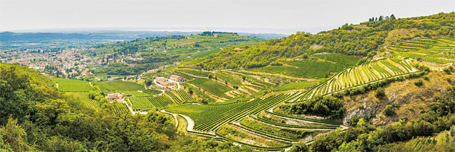 아마로네 와인을 생산하는 이탈리아 베로나 베네토주의 발폴리첼라 산 조르지오 전망.