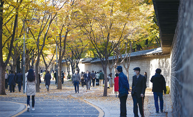 11월 2일 시민들이 가을 낙엽이 떨어진 서울 덕수궁 돌담길을 걷고 있다. 사진 연합뉴스