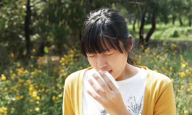 봄에는 알레르기 환자가 늘어난다. 사진 조선일보 DB
