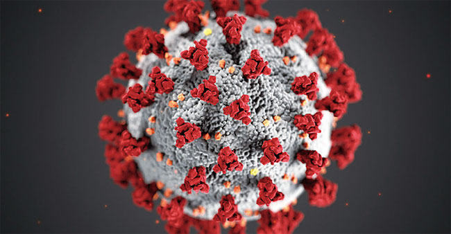 코로나19 바이러스의 입체 구조. 사진 미국 질병통제예방센터