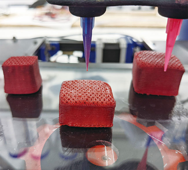 노바미트가 3D프린팅 기술로 대체육을 만드는 모습. 사진 노바미트