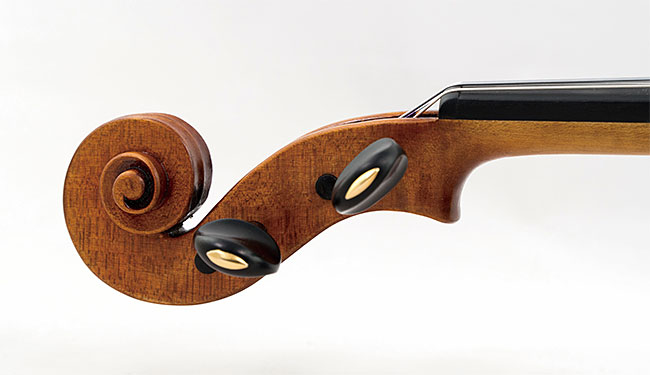 비건 바이올린 스크롤과 줄감개집. 사진 파드라이그 오두블라우이드