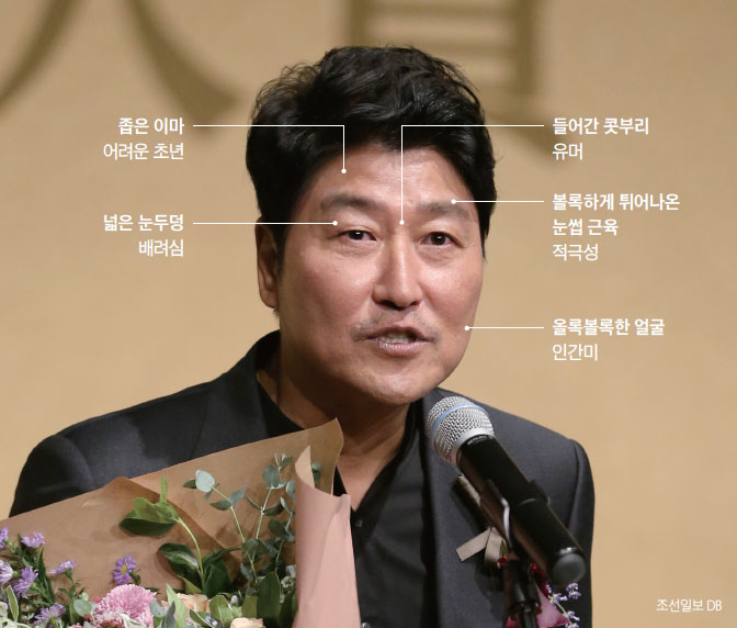 사진 조선일보 DB