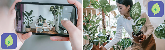 그레그 앱 이용자가 자신이 키우는 식물을 앱에 등록하기 위해 사진 촬영을 하고 있는 모습(왼쪽)과 자신이 키우는 식물을 관리하고 있는 모습. 알렉스 로스