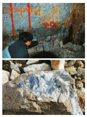 - 손지웅 사장이 개발권을 확보한 광구(위 사진). 돌 사이의 푸른색을 띤 부분이 몰리브덴이다.