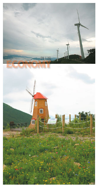 - (위)산언덕에 세워진 풍력 발전기. (아래)작은 풍차 주변으로 키 작은 꽃들이 피었다.