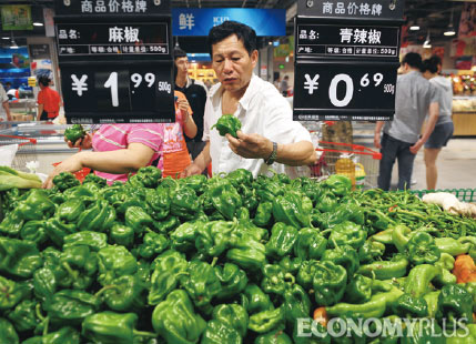 - 시진핑·리커창 체제가 성장 정책을 펼지, 분배 정책을 우선할지 귀추가 주목된다.
