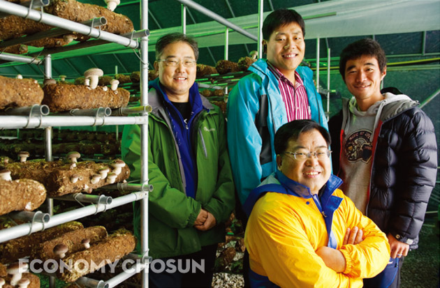 공동창업자 이상영(가운데 앉은 이)·홍성훈·최영수·권태종(시계방향)씨와 농업법인 자야에서 생산하는 송이향표고버섯
