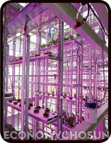 농촌진흥청이 2011년 식물공장의 요소기술을 연구하고 실증하기 위한 파일럿 플랜트로서 건립한 식물공장 연구동