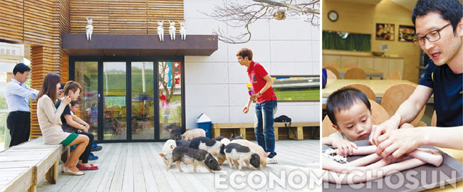 (왼) 돼지들에게 먹이를 주거나 사진 촬영도 할 수 있다. (오) 한 가족이 소시지 만들기 체험을 하고 있다.