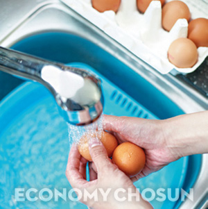 물로 계란 표면을 씻은 뒤 계란을 깨야 식중독을 예방할 수 있다.