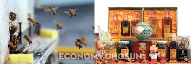 - 아이비영농조합법인에서 생산하는 꿀 관련 제품들