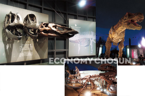- 후쿠이 공룡박물관 한가운데에는 실제로 움직이는 거대한 공룡 모형이 설치되어 있다. 이곳은 한국어로 나오는 오디오 가이드 장비까지 갖춰져 있어 편리하다.