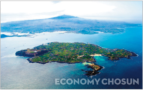 - 외지인의 유입이 활발하고 미래가치가 높은 제주도는 한 건당 입찰 경쟁률이 5대 1로 육지에 비해 두 배 정도 높다. 사진은 제주 우도 전경.
