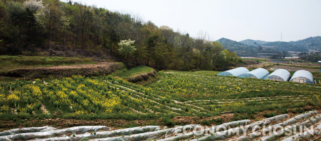 - 지난해 귀농가구는 1만923가구로 3년 연속 1만 가구를 넘겼다. 사진은 전북 고창군 공음면에 위치한 한 토지