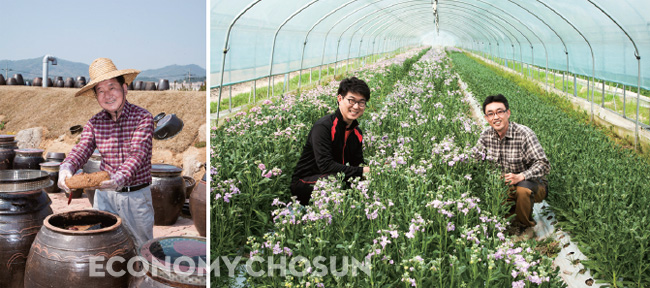 (좌) 전북 고창에서 저온 숙성 유기농 된장, 청국장을 생산하고 있는 김상관씨.(우) 상주 함창읍에서 화훼재배를 하고 있는 전선규(오른쪽)씨.