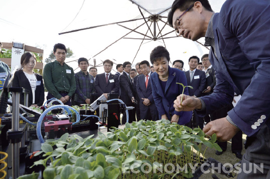 - 박근혜 대통령이 지난 10월10일 세종시 연서면 세종농업기술센터에 마련된 ‘창조마을’ 시범사업 전시장을 방문, 채소 자동접목 로봇의 시연을 지켜보고 있다.