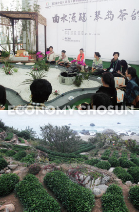 (상) 관람객들이 구불구불한 물도랑을 따라 흐르는 찻잔을 바라보고 있다. (하) 라오산의 차밭은 바다와 인접해 있어 해풍을 맞고 자라 쓴맛이 특징이다.