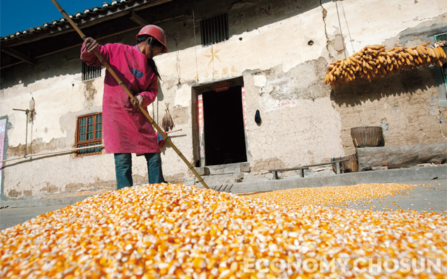 중국 후베이성의 농가 <사진 : 블룸버그>