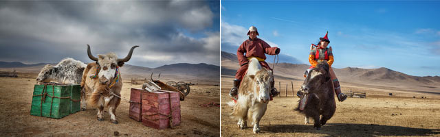 몽골에서의 승마는 뻔한 트랙을 몇 바퀴 도는 것이 아니다. 발길 닿는 곳 어디든지 말을 타고 갈 수 있다.