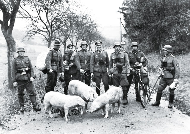 제2차세계대전 당시 식량으로 사용할 돼지들을 몰고 가는 독일 병사들. <사진 : 핀터레스트>