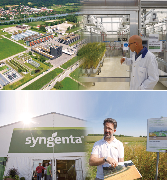 스위스 바젤에 있는 신젠타 슈타인 연구소와 프랑스에 있는 슈나이더 농장. 사진 이종현 기자, 블룸버그