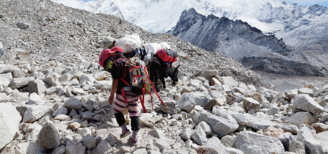에베레스트산 등반을 돕는 셰르파가 짐을 지고 베이스캠프로 향하고 있다.