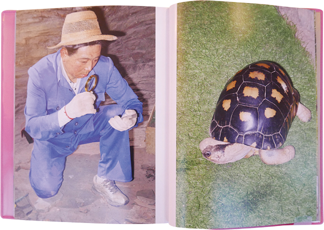 사진집 ‘Red Ink’ 속 한 남자와 거북이. 남자는 살아있는 사람처럼 보이고 거북이는 모형처럼 보이지만, 실제로는 반대다. 사진 김진영
