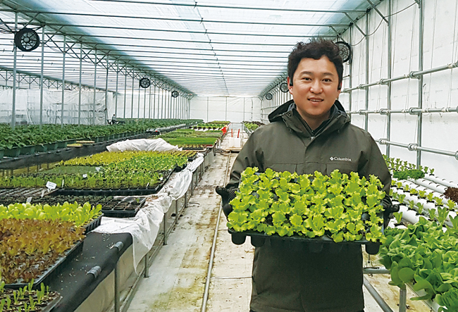 김형래 하래원 대표가 비닐하우스에서 자신이 재배한 채소 모종을 들어보이고 있다. 사진 하래원