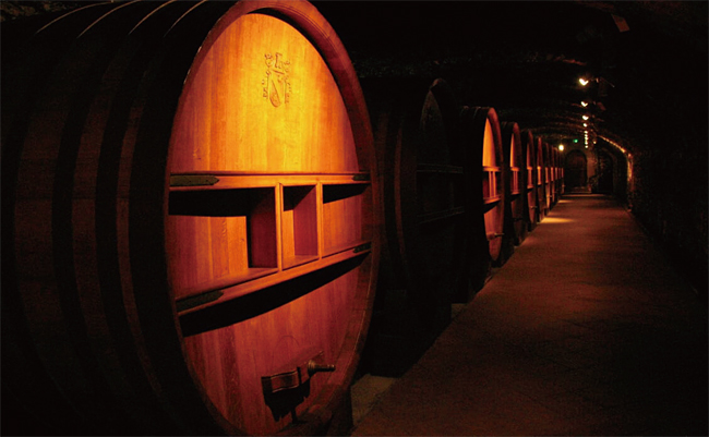 샤토네프 뒤 파프 와인을 숙성시키는 큰 오크통들. 사진 김상미