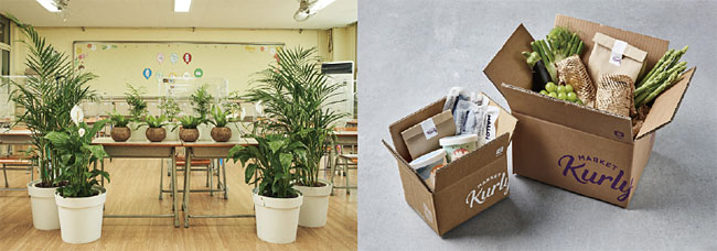 왼쪽부터 컬리는 전국 초등학교에 공기 정화 식물을 두는 ‘교실 숲 조성 프로젝트’를 진행하고 있다. 마켓컬리 배송에 쓰이는 종이 박스와 종이 충전재. 사진 컬리