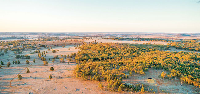 ASM이 보유한 호주 ‘더보’ 지역에 있는 희토류 광산 부지. 사진 ASM