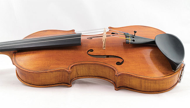 비건 바이올린 몸통. 사진 파드라이그 오두블라우이드