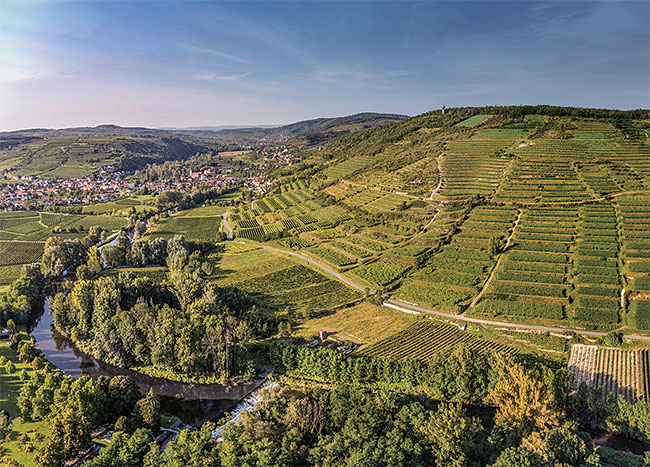 하일리겐슈타인 산이 있는 캄프탈 전경. 사진 오스트리아 와인협회