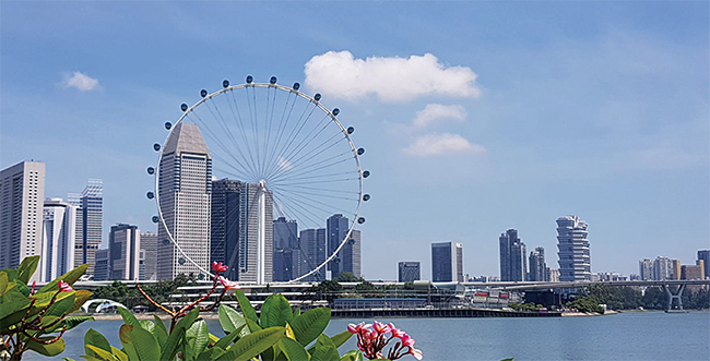 싱가포르│도시 전경 사진 노랑풍선