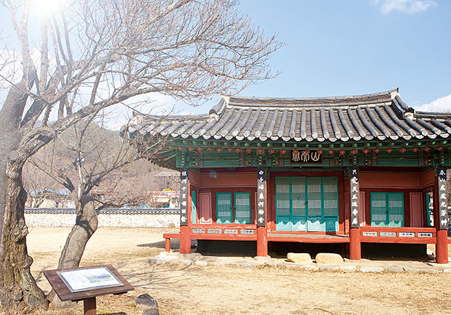 산천재와 매화나무. 사진 최갑수