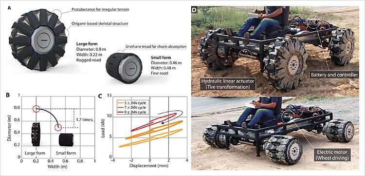 서울대와 한국타이어가 공동 개발한 트랜스포머 타이어가 바뀌는 모습. 지름이 작던 바퀴가 험지로 가면 폭이 줄고 지름이 커진다. 사진 ‘사이언스 로보틱스’