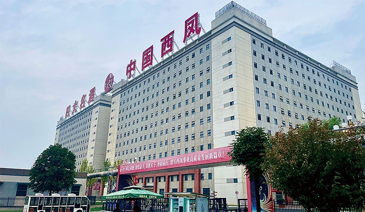 중국 산시성 바오지에 있는
산시서봉주주식회사 본사 겸
서봉주 공장. 사진 양범수 기자