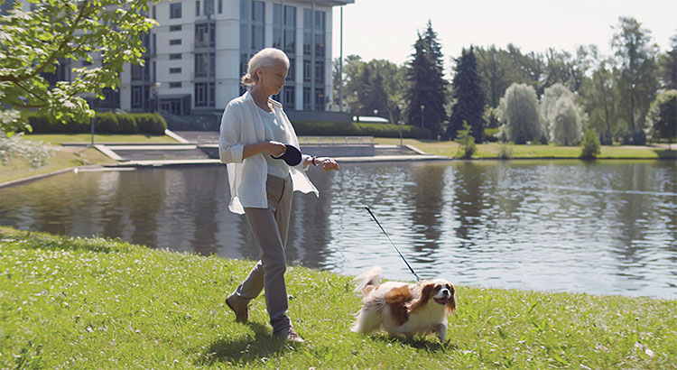 반려견과 산책하고 있는 노인. 
반려견이 노인의 치매 위험을 40% 줄일 수 있다는 연구 결과가 나왔다. 사진 셔터스톡