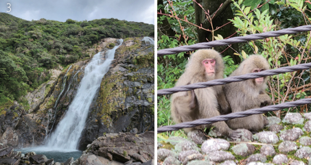 3 오코노폭포. 야쿠시마에는 풍부한 수량을 자랑하는 거대한 폭포가 많다. 4 야쿠시마 원숭이. 최인한 소장