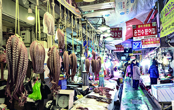 Seongdong Market is filled with octopuses. Photo: Gapsu Choi