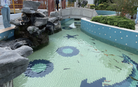 중국 광둥성 마오밍에 있는 석유화학 기업 시노펙 내 폐수 정화 연못. 사진 이윤정 특파원