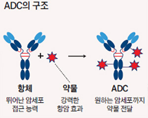 /자료=조선비즈