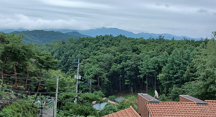 필자의 우거에서 바라본 풍광. 시절이 하 수상하지만, 필자는 오늘도 초야에서 반려동물과 반려 식물을 키우면서 막걸리 한 사발로 유유자적하고 있다. /홍광훈